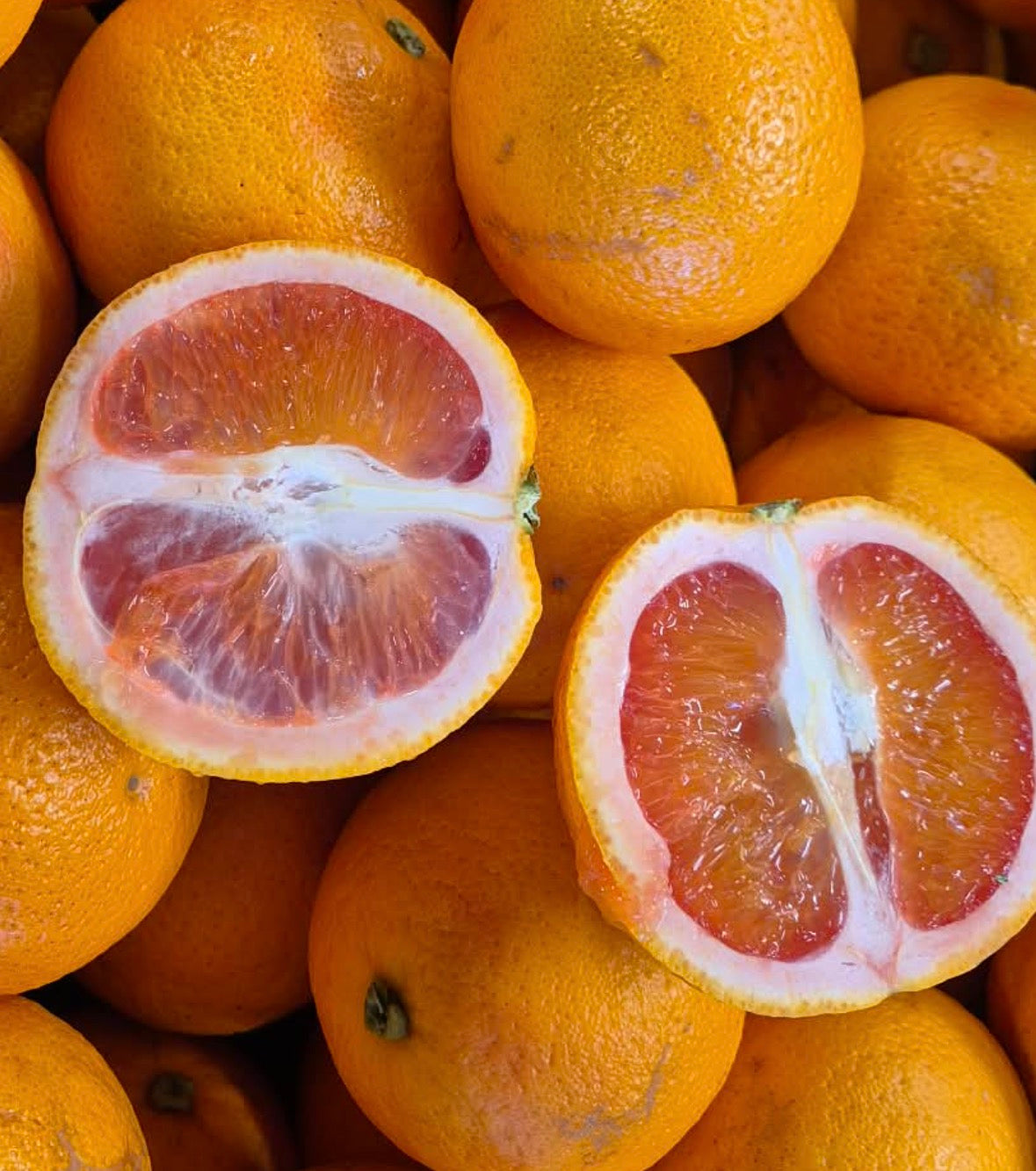 Oranges-Blood Orange 1kg