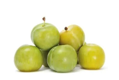 Plums - Greengage