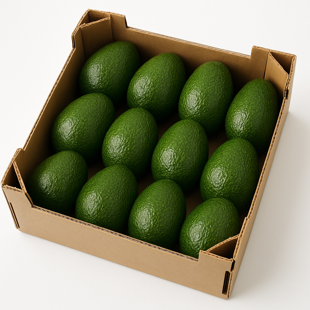 Avocado 12 Pack -Large – Oxford Fresh