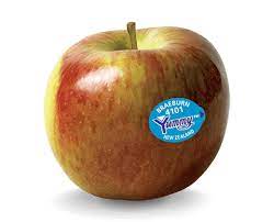 Apples - Jazz - Lunch Box Size