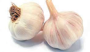 Garlic - NZ