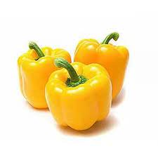 Capsicum - Yellow