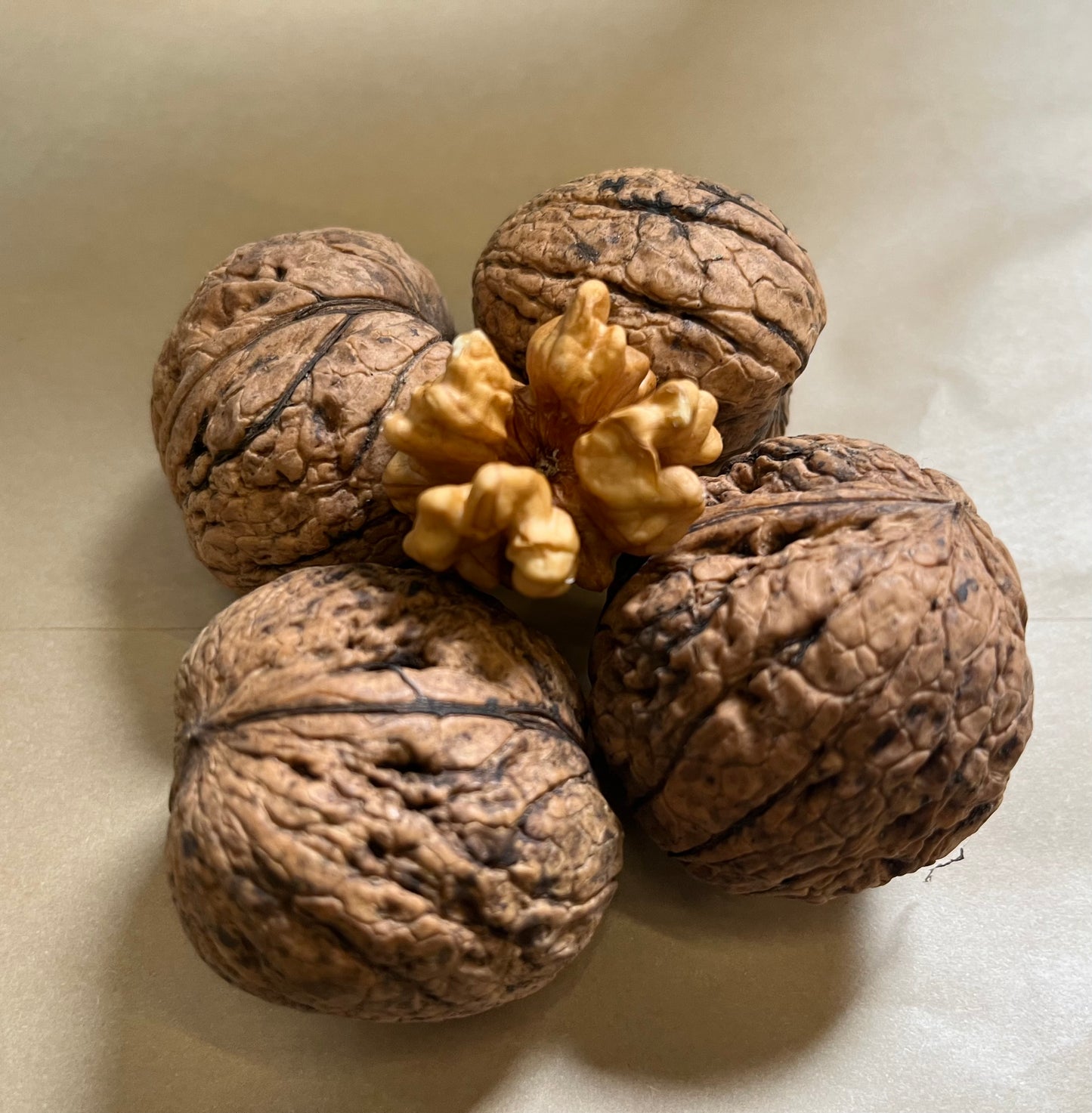 Walnut 500g Nui (i roto i te anga)