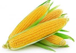 Sweetcorn