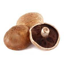 Mushrooms - Brown Flat